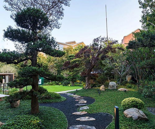 山東大道園林商家推薦 林地與濕地規劃設計優選指南