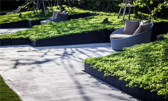 園林景觀中的種植池 設計原則與功能探析